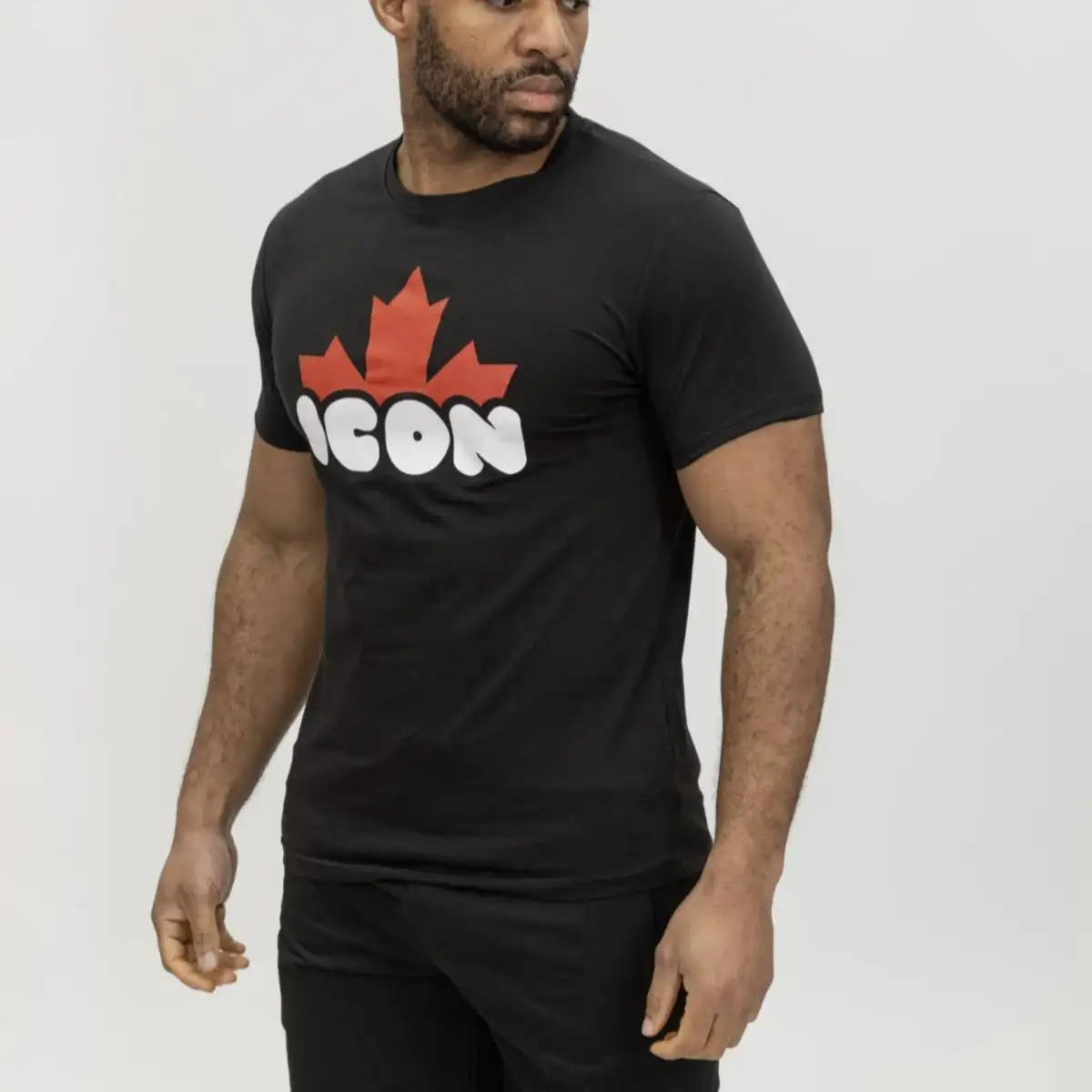 Ensemble icon2