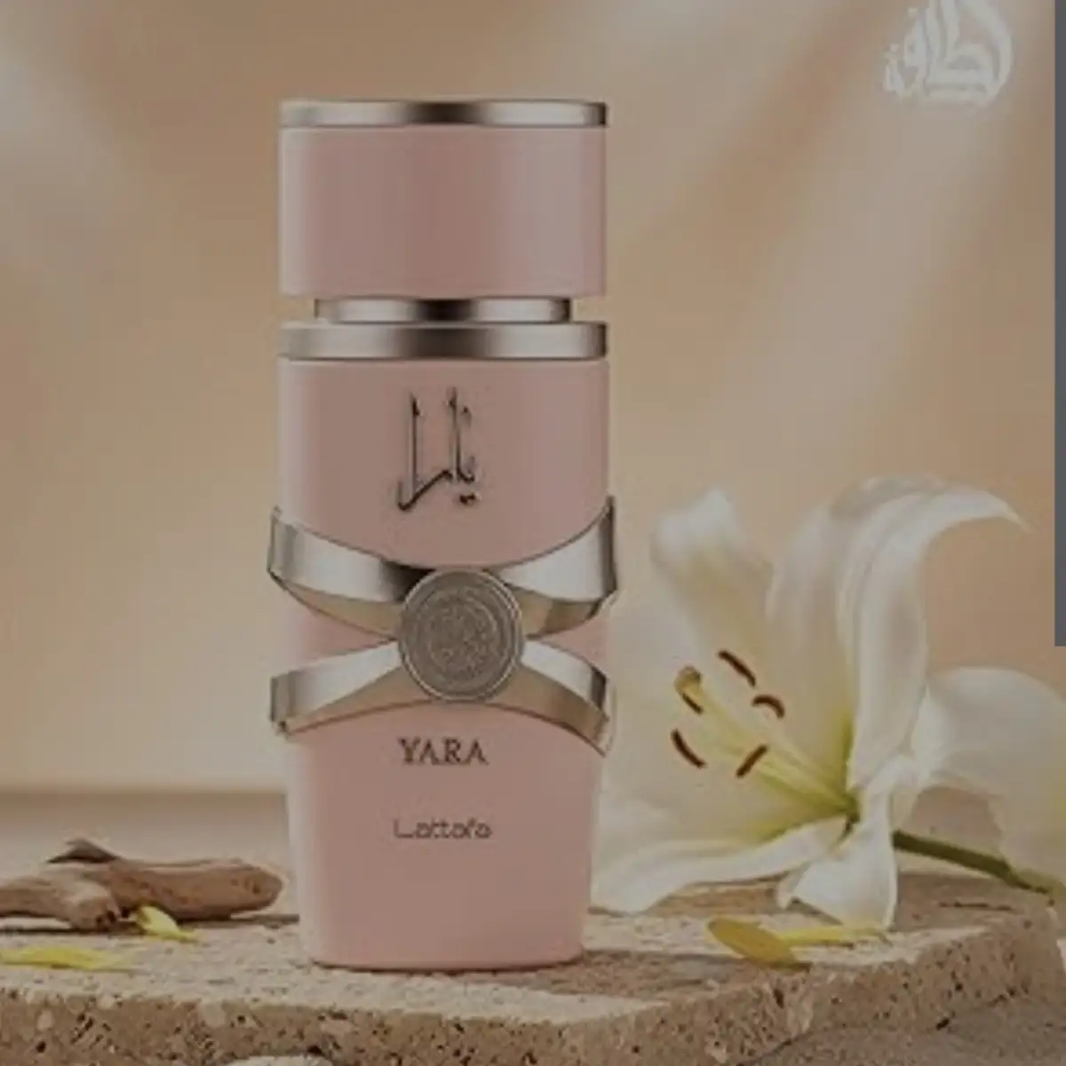 Parfum yara femme dubai