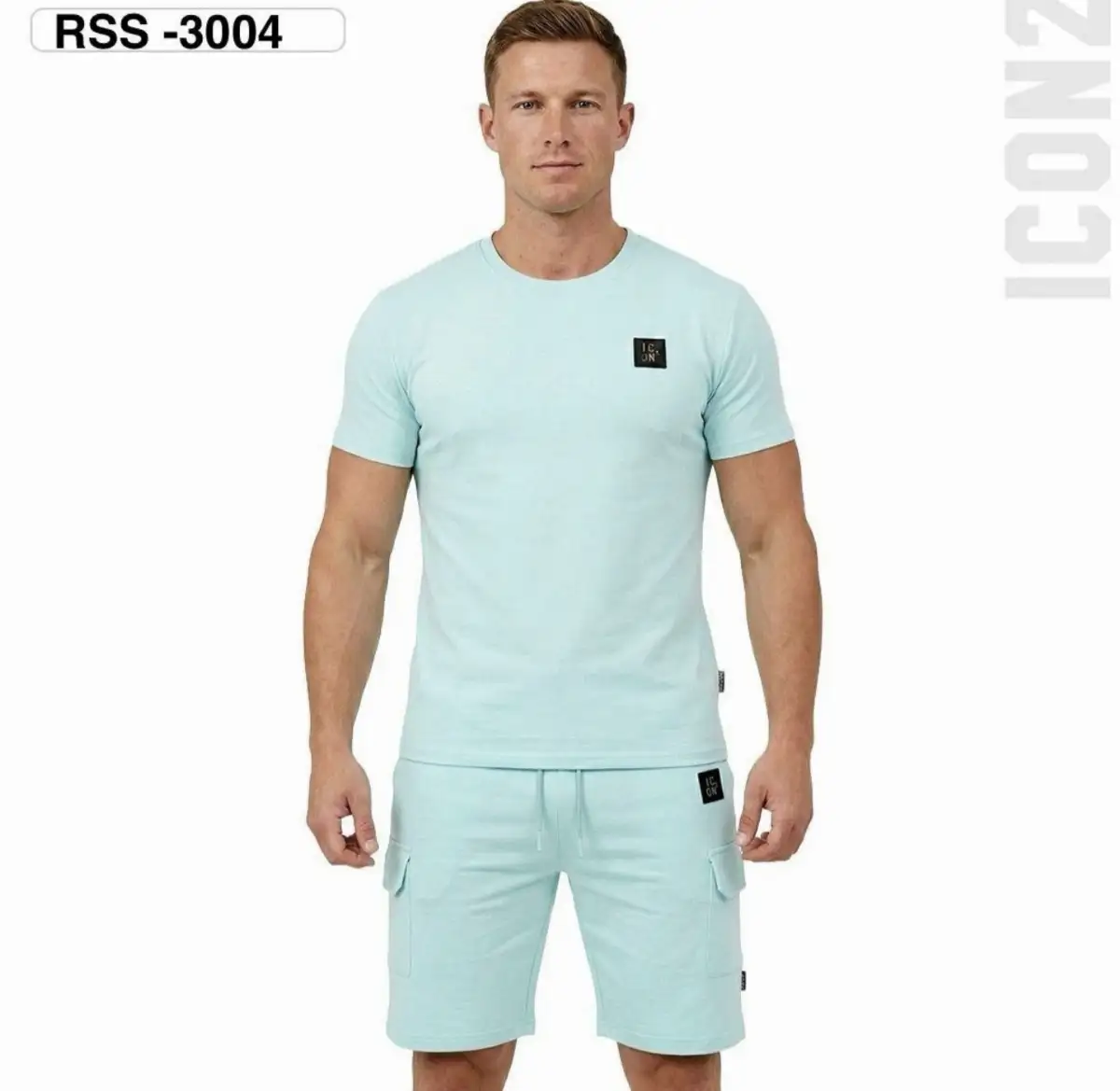 Ensemble icon2 turkuaz